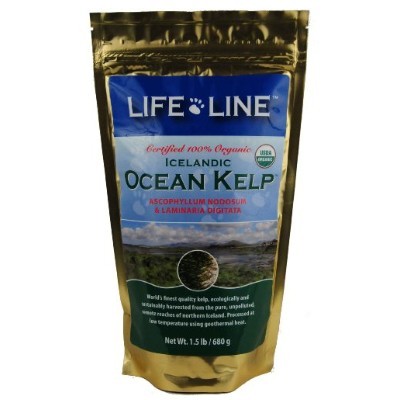 Life Line Organic Ocean Kelp 有機海藻粉 1.5lb