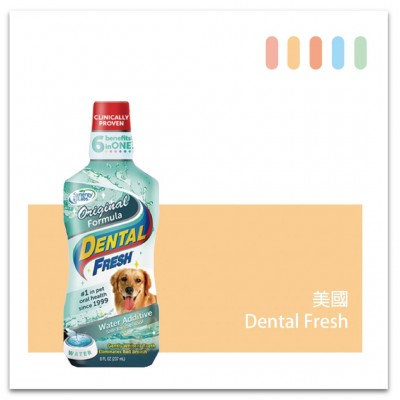 Synergy Labs Dental Fresh 超濃縮口腔清新液 946ml
